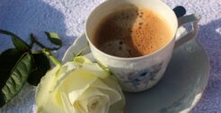 Café, Rooftop & Tendance