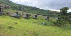 Éco-lodges & Hébergements Durables